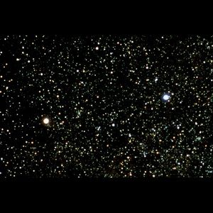 Meet your Posher, Gaby